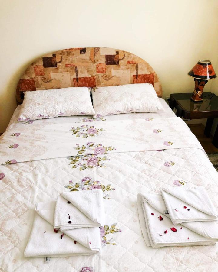 Apartman Djina Vrnjacka Banja Ngoại thất bức ảnh